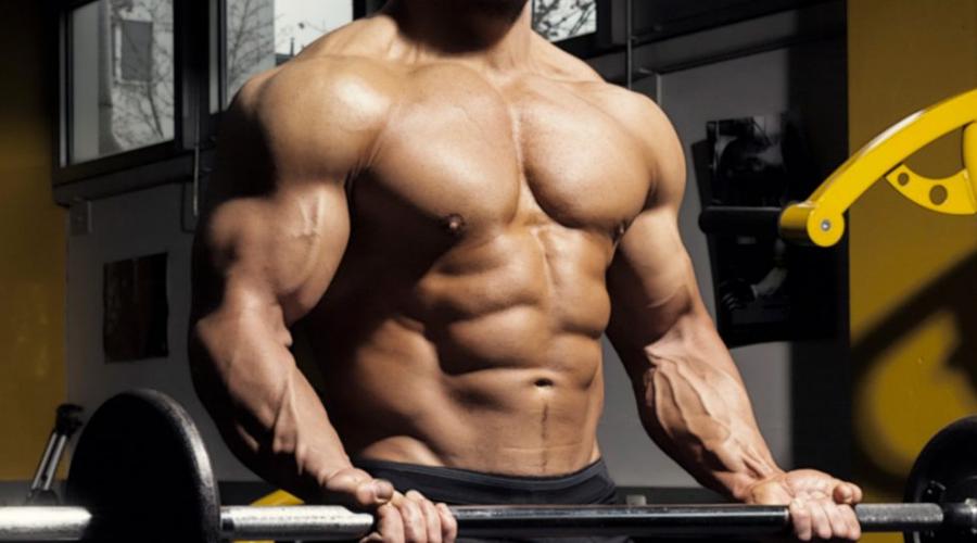Does Powerlifting Build Muscle 